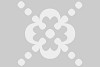 Snowfall Across Kashmir Valley
