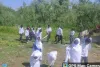 Boys High School, Buchpora Launch Save Anchar Lake Awareness Campaign 
