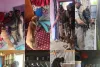 Handwara Police Deploy Sniffer Dogs in NDPS Operations for First Time