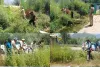 Handwara Police Intensifies Anti-Drug Campaign, Destroys Wild Cannabis in Pharou Area