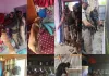 Handwara Police Deploy Sniffer Dogs in NDPS Operations for First Time