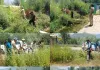 Handwara Police Intensifies Anti-Drug Campaign, Destroys Wild Cannabis in Pharou Area