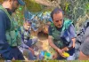 Handwara Police Bust Hideout in NagdaNar Forest, Recover Huge Arms Cache