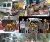 Joint Naka Operation Leads to Seizure of Illegal Timber in Langate