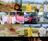 DMO Kupwara Launches Major Enforcement Drive; 12 Tractors Seized; Rs 1.70 Lakh Penalty Recovered