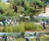 Handwara Police Intensifies Anti-Drug Campaign, Destroys Wild Cannabis in Pharou Area