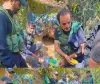 Handwara Police Bust Hideout in NagdaNar Forest, Recover Huge Arms Cache