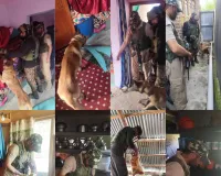 Handwara Police Deploy Sniffer Dogs in NDPS Operations for First Time