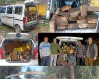 Joint Naka Operation Leads to Seizure of Illegal Timber in Langate