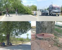 Tree Felling During NH-701 Widening Raises Public Safety Concerns in Kupwara