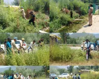 Handwara Police Intensifies Anti-Drug Campaign, Destroys Wild Cannabis in Pharou Area