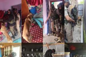 Handwara Police Deploy Sniffer Dogs in NDPS Operations for First Time