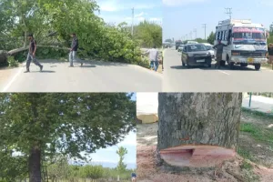 Tree Felling During NH-701 Widening Raises Public Safety Concerns in Kupwara