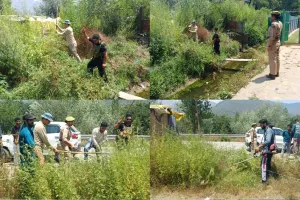 Handwara Police Intensifies Anti-Drug Campaign, Destroys Wild Cannabis in Pharou Area