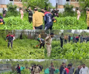 Handwara Police, Excise & Revenue Teams Destroy Illegal Poppy Cultivation in Langate