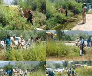 Handwara Police Intensifies Anti-Drug Campaign, Destroys Wild Cannabis in Pharou Area